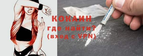 прущие грибы Беломорск