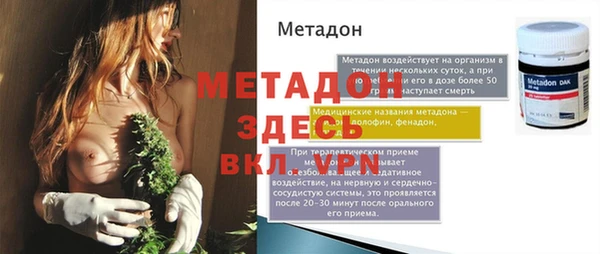 прущие грибы Беломорск