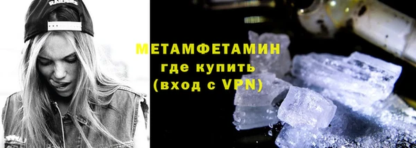 прущие грибы Беломорск