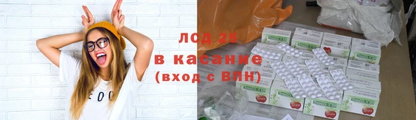 ПСИЛОЦИБИНОВЫЕ ГРИБЫ Богородицк