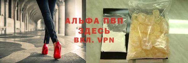 ПСИЛОЦИБИНОВЫЕ ГРИБЫ Богородицк