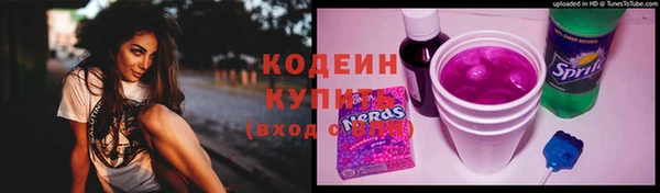прущие грибы Беломорск