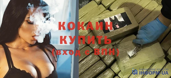 прущие грибы Беломорск